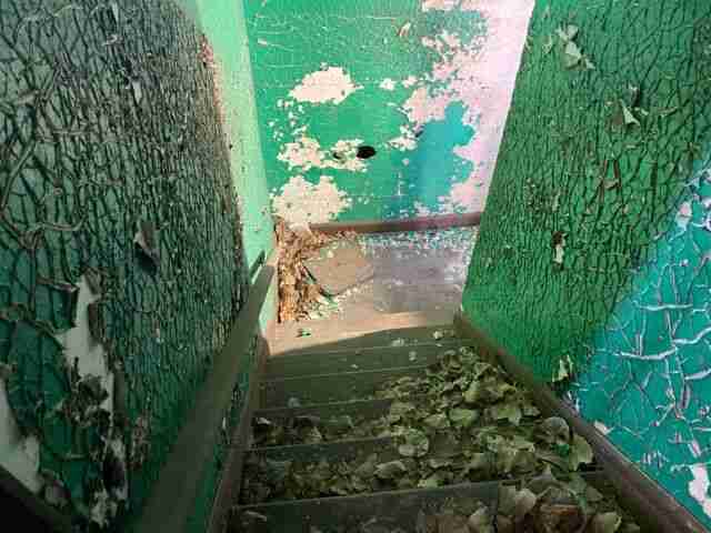 Testing again(75).jpg